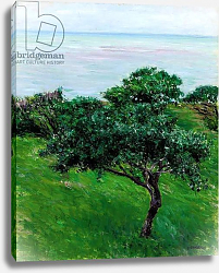 Постер Кайботт Гюстав (Gustave Caillebotte) Apple Trees by the Sea, Trouville, 1880 Постер Кайботт Гюстав (Gustave Caillebotte) Apple Trees by the Sea, Trouville, 1880
