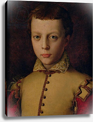 Постер Бронзино Анджело Portrait of Ferdinando de' Medici Постер Бронзино Анджело Portrait of Ferdinando de' Medici