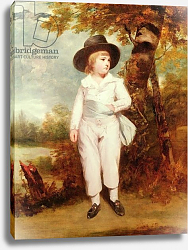 Постер Рейнолдс Джошуа John Charles Spencer, Viscount Althorp, 1786 Постер Рейнолдс Джошуа John Charles Spencer, Viscount Althorp, 1786