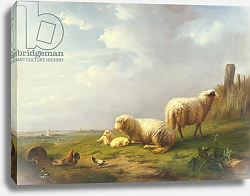 Постер Веррбекховен Евген Sheep and chickens in a landscape, 19th century Постер Веррбекховен Евген Sheep and chickens in a landscape, 19th century