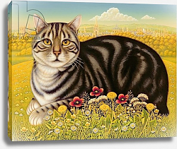 Постер Брумфильд Франсис (совр) The Oxford Cat, 2001