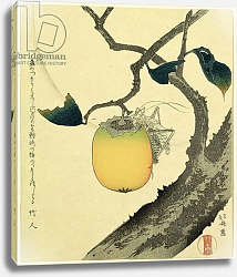 Постер Хокусай Кацушика Moon, Persimmon and Grasshopper, 1807 Постер Хокусай Кацушика Moon, Persimmon and Grasshopper, 1807
