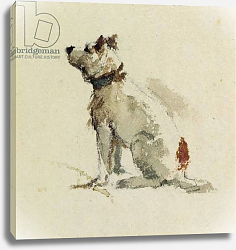 Постер Уинт Питер A Terrier, sitting facing left Постер Уинт Питер A Terrier, sitting facing left