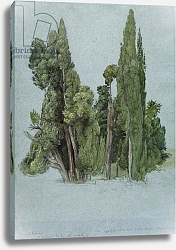 Постер Палмер Самуэль The Cypresses at the Villa d'Este, Tivoli Постер Палмер Самуэль The Cypresses at the Villa d'Este, Tivoli