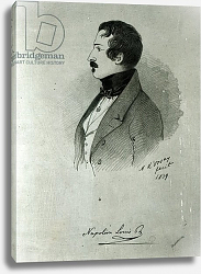 Постер Орсе Альфред Portrait of Napoleon III as a young man, 1839 Постер Орсе Альфред Portrait of Napoleon III as a young man, 1839