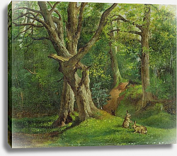 Постер Херкомер Хьюберт Woodland Scene with Rabbits, 1862 Постер Херкомер Хьюберт Woodland Scene with Rabbits, 1862