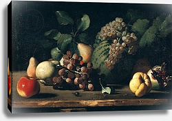 Постер Школа: Итальянская 17в. Still Life with Grapes and Pomegranate Постер Школа: Итальянская 17в. Still Life with Grapes and Pomegranate