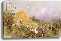 Постер Ллойд Томас Driving Geese, Early Evening, 1907 Постер Ллойд Томас Driving Geese, Early Evening, 1907