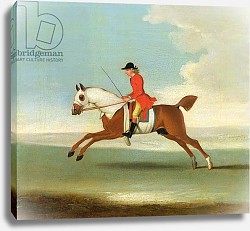 Постер Сеймур Джеймс Galloping Racehorse and mounted Jockey in Red Постер Сеймур Джеймс Galloping Racehorse and mounted Jockey in Red