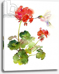 Постер Килинг Джон (совр) Hummingbird with Geranium, 2015, Постер Килинг Джон (совр) Hummingbird with Geranium, 2015,