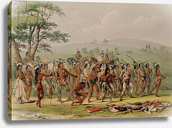 Постер Кэтлин Джордж Mandan Archery Contest, c.1832 Постер Кэтлин Джордж Mandan Archery Contest, c.1832