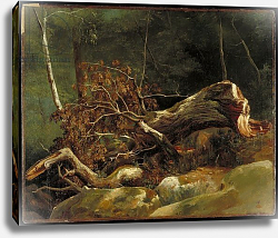 Постер Михалон Ашиль The Fallen Branch, Fontainebleau, c.1816 Постер Михалон Ашиль The Fallen Branch, Fontainebleau, c.1816