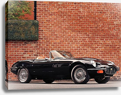 Постер Jaguar E-Type V12 Roadster Commemorative Edition (Series III) '1974–75 Постер Jaguar E-Type V12 Roadster Commemorative Edition (Series III) '1974–75