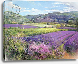 Постер Истон Тимоти (совр) Lavender Fields in Old Provence Постер Истон Тимоти (совр) Lavender Fields in Old Provence