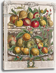 Постер Кастилс Питер April, from 'Twelve Months of Fruits', by Robert Furber engraved by J. Clark, 1732 Постер Кастилс Питер April, from 'Twelve Months of Fruits', by Robert Furber engraved by J. Clark, 1732