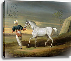 Постер Дэлби Давид Signal, a grey Arab, with a Groom in the Desert Постер Дэлби Давид Signal, a grey Arab, with a Groom in the Desert
