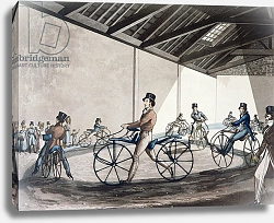 Постер Олкен Генри (охота) Johnson's Pedestrian Hobbyhorse Riding School, 1819 Постер Олкен Генри (охота) Johnson's Pedestrian Hobbyhorse Riding School, 1819