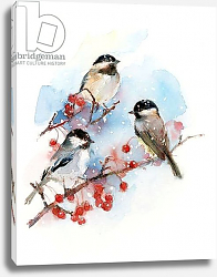 Постер Килинг Джон (совр) Chickadees with Berries, 2017, Постер Килинг Джон (совр) Chickadees with Berries, 2017,