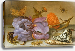 Постер Аст Балтазар Still life depicting flowers, shells and insects Постер Аст Балтазар Still life depicting flowers, shells and insects