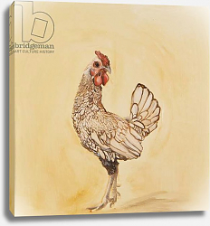 Постер Сандерс Франческа (совр) Lacewing chicken, 2016, 9oil on canvas) Постер Сандерс Франческа (совр) Lacewing chicken, 2016, 9oil on canvas)