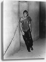 Постер Brando, Marlon (A Streetcar Named Desire) 6 Постер Brando, Marlon (A Streetcar Named Desire) 6