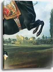 Постер Гамильтон Йоханн A black horse performing the Courbette 2 Постер Гамильтон Йоханн A black horse performing the Courbette 2