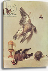 Постер Одри Жан-Батист Still Life of Dead Birds and a Mouse, 1712 Постер Одри Жан-Батист Still Life of Dead Birds and a Mouse, 1712