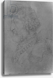 Постер Дюрер Альбрехт Frederick II of the Rhine, Elector Palatine, 1523 Постер Дюрер Альбрехт Frederick II of the Rhine, Elector Palatine, 1523