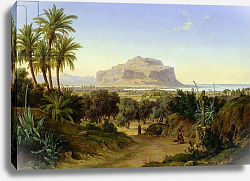 Постер Алборн Август View of Palermo with Mount Pellegrino Постер Алборн Август View of Palermo with Mount Pellegrino