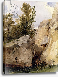Постер Бонингтон Ричард In the Forest of Fontainebleau, c.1825 Постер Бонингтон Ричард In the Forest of Fontainebleau, c.1825