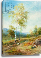 Постер МакВертер Джон Autumn, Strathglass, Inverness-shire Постер МакВертер Джон Autumn, Strathglass, Inverness-shire