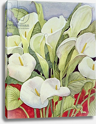 Постер Делеворис Лиллиан Arum Lillies, 1978 Постер Делеворис Лиллиан Arum Lillies, 1978