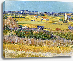 Постер Ван Гог Винсент (Vincent Van Gogh) Урожай в Ла Кро, и Монмажор на заднем плане Постер Ван Гог Винсент (Vincent Van Gogh) Урожай в Ла Кро, и Монмажор на заднем плане