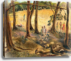 Постер Купер Мэри (совр) Under the trees, Hampstead Heath Постер Купер Мэри (совр) Under the trees, Hampstead Heath
