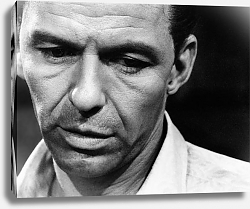Постер Sinatra, Frank (Man With The Golden Arm, The) Постер Sinatra, Frank (Man With The Golden Arm, The)