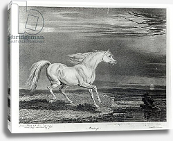 Постер Уорд Артур Marengo, engraved by the artist, pub. by R. Ackermann, 1824 Постер Уорд Артур Marengo, engraved by the artist, pub. by R. Ackermann, 1824