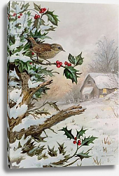 Постер Даннер Карл (совр) Wren in Hollybush by a cottage Постер Даннер Карл (совр) Wren in Hollybush by a cottage