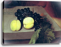 Постер Караваджо (Caravaggio) The Sick Bacchus, detail of peaches and grapes, 1591 Постер Караваджо (Caravaggio) The Sick Bacchus, detail of peaches and grapes, 1591