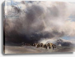 Постер Сандерс Франческа (совр) Elephant through the storm, 2015, Постер Сандерс Франческа (совр) Elephant through the storm, 2015,