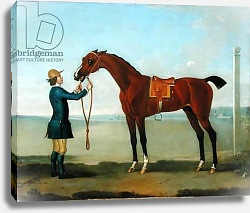 Постер Сеймур Джеймс The Duke of Devonshire's Flying Childers, 1742 Постер Сеймур Джеймс The Duke of Devonshire's Flying Childers, 1742