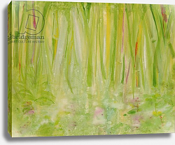 Постер Шава Лайла (совр) Impression of the Rain Forest, 1991 Постер Шава Лайла (совр) Impression of the Rain Forest, 1991