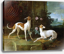 Постер Одри Жан-Батист Misse and Turlu, two greyhounds of Louis XV Постер Одри Жан-Батист Misse and Turlu, two greyhounds of Louis XV
