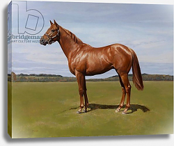 Постер Кинэвэй Эмма (совр) Colt, 2011 Постер Кинэвэй Эмма (совр) Colt, 2011