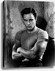 Постер Brando, Marlon (A Streetcar Named Desire) 2 Постер Brando, Marlon (A Streetcar Named Desire) 2
