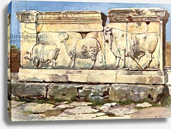 Постер Пиза Альберто Marble relief of the Ambarvalia Sacrifice, in the Forum Постер Пиза Альберто Marble relief of the Ambarvalia Sacrifice, in the Forum