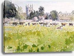 Постер Виллис Люси (совр) Looking Across Christ Church Meadows, 1989 Постер Виллис Люси (совр) Looking Across Christ Church Meadows, 1989