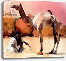 Постер Адлингтон Марк dsu and Said, Rann of Kutch, 1996 Постер Адлингтон Марк dsu and Said, Rann of Kutch, 1996