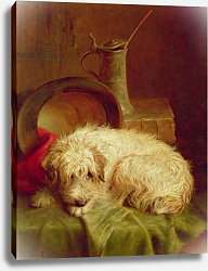 Постер Маршалл Джон A Terrier Постер Маршалл Джон A Terrier