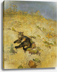 Постер Лильефорс Бруно A Cat Basking in the Sun, 1884 Постер Лильефорс Бруно A Cat Basking in the Sun, 1884