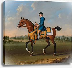 Постер Сеймур Джеймс A Bay Racehorse with Jockey Up 1730 Постер Сеймур Джеймс A Bay Racehorse with Jockey Up 1730